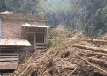 Bencana Longsor Besar Hancurkan Rumah Warga di Trenggalek