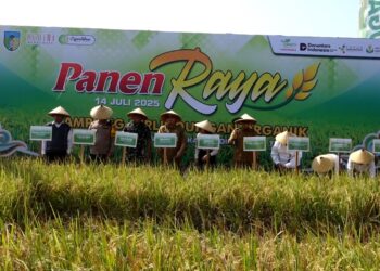 Kediri Jadi Pelopor Kampung Pertanian Berbasis Pemupukan Berimbang di Jatim
