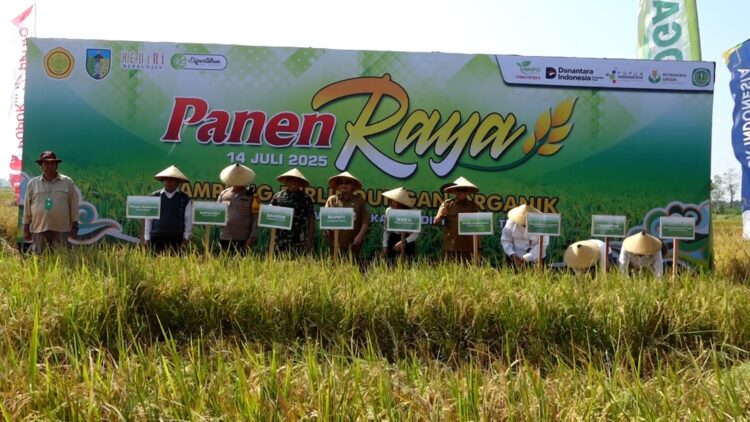 Kediri Jadi Pelopor Kampung Pertanian Berbasis Pemupukan Berimbang di Jatim