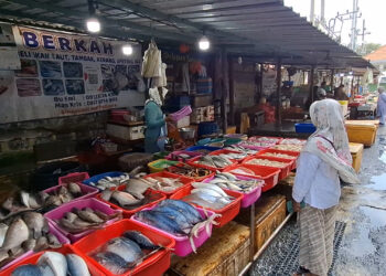 Ombak Besar, Harga Ikan Laut Naik Dan Stok Menipis