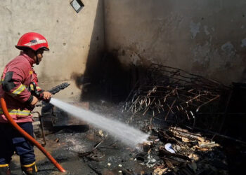 Kebakaran Hanguskan Gudang Penetasan Telur di Tulungagung, Kerugian Ditaksir Rp100 Juta
