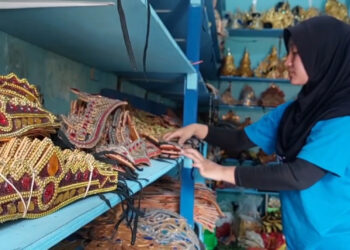 Jasa Sewa Baju Karnaval Kebanjiran Order