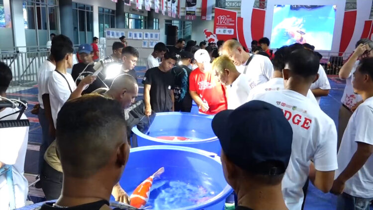 Koi Show, Event Tahunan Berskala Nasional