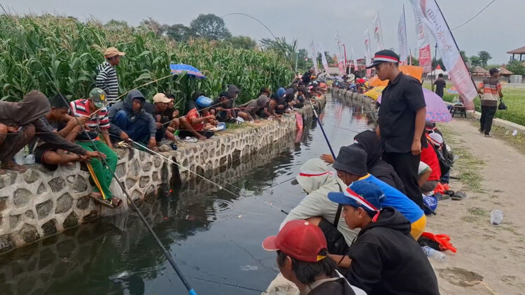 Seribu Lebih Warga Kota Kediri Ikuti Lomba Mancing Berebut 2,6 Ton Ikan Lele
