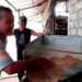 Peternak Menjerit Harga Ulat Kandang Rendah