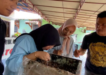 Wisata Sensasi Hisap Madu Klanceng Dari Sarangnya