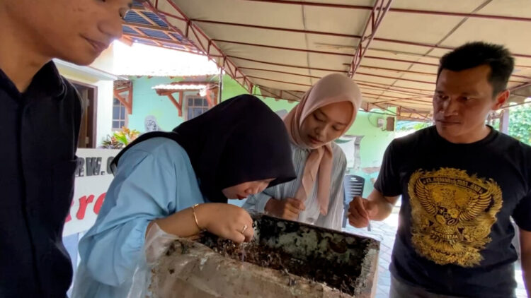 Wisata Sensasi Hisap Madu Klanceng Dari Sarangnya