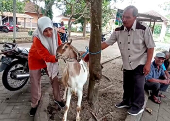 Cegah Penyebaran PMK, Dinas Peternakan dan Perikanan Kabupaten Blitar Gelar Pemeriksaan Hewan di Pasar Srengat