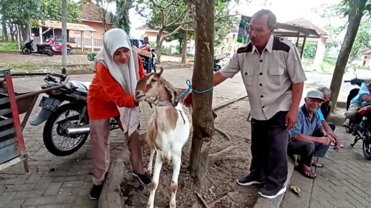 Cegah Penyebaran PMK, Dinas Peternakan dan Perikanan Kabupaten Blitar Gelar Pemeriksaan Hewan di Pasar Srengat