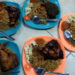 Lalapan Nasi Mandhi Bebek Bakar, Sensasi Baru Kuliner Probolinggo