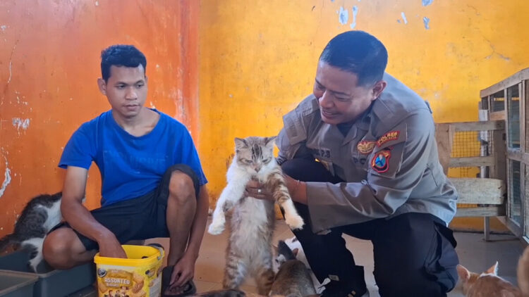 Polisi di Kediri Rawat Ratusan Kucing Liar Terlantar dengan Sukarela