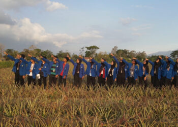 Inovasi Mahasiswa UNP Kediri di Desa Manggis Puncu Kediri