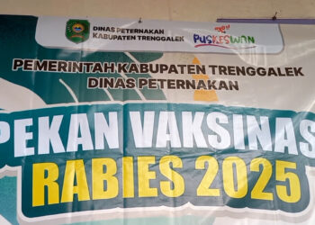 Peringatan Hari Rabies Dunia Dinas Peternakan Gelar Vaksinasi Gratis