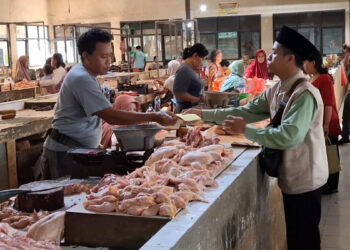 Harga Daging Ayam Potong Melonjak Tajam