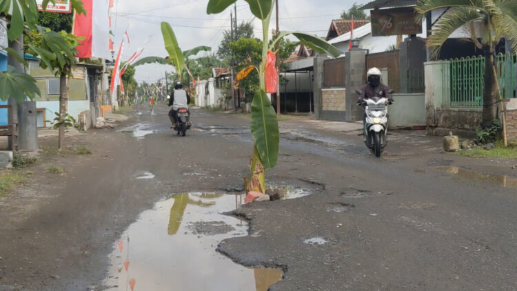 Protes Jalan Rusak, Warga Ngunut Tanam Pohon Pisang di Tengah Jalan