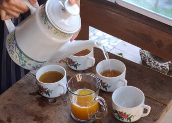 Musim Pancaroba, Penjualan Jamu Tradisional Meningkat
