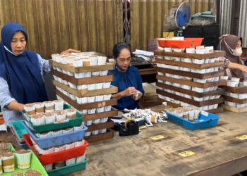 Industri Rokok Tengah Lesu, Trengalek Justru Kebanjiran Investor.