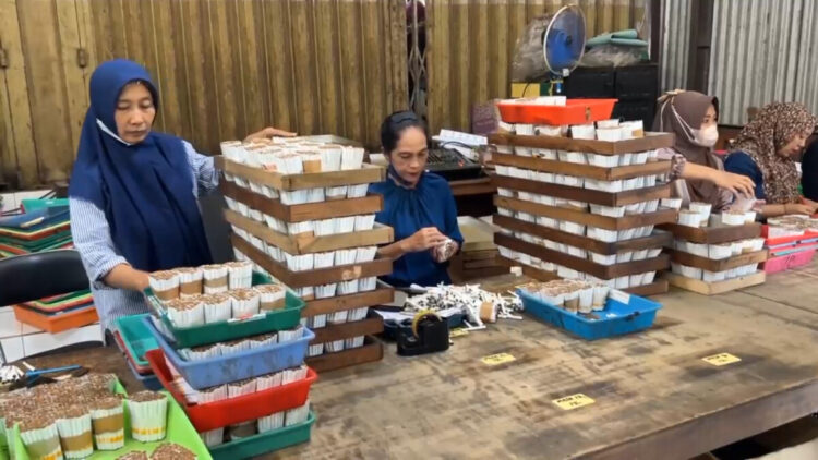 Industri Rokok Tengah Lesu, Trengalek Justru Kebanjiran Investor.