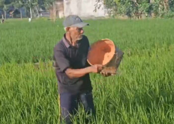 Serapan Pupuk Subsidi di Trenggalek Capai 61 Persen