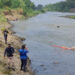 Bangkai Sapi Ditemukan di Sungai Brantas, Dikhawatirkan Sebarkan Penyakit