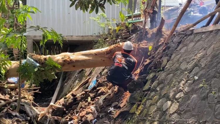 Evakuasi Pohon Tumbang Akibat Hujan Angin di Kota Blitar