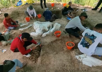 Fosil Gajah Purba Berusia 800 Ribu Tahun Ditemukan di Hutan Nganjuk