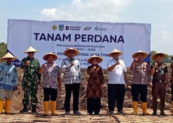 Tanam Perdana Program Bongkar Ratoon di Kediri Optimalkan Produktivitas Gula 