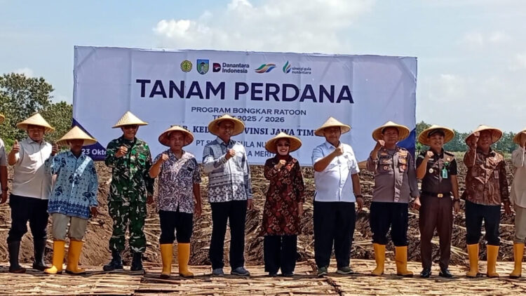Tanam Perdana Program Bongkar Ratoon di Kediri Optimalkan Produktivitas Gula 