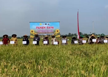 Kelompok Tani Tugu Makmur Sukses Terapkan PHT, Produksi Padi Meningkat