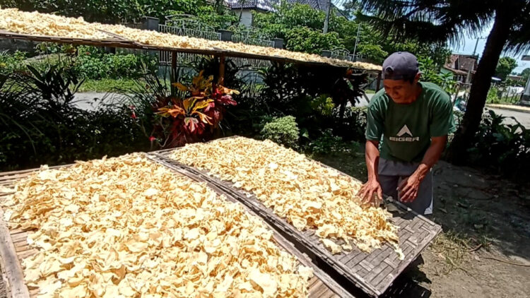 Musim Penghujan Para Perajin Keripik Gadung di Blitar Berhenti Produksi