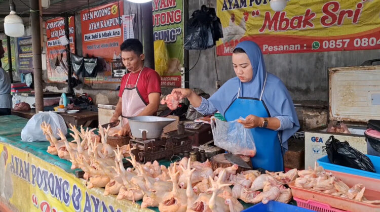Harga Daging Ayam Potong Tembus 37 Ribu Perkilogram