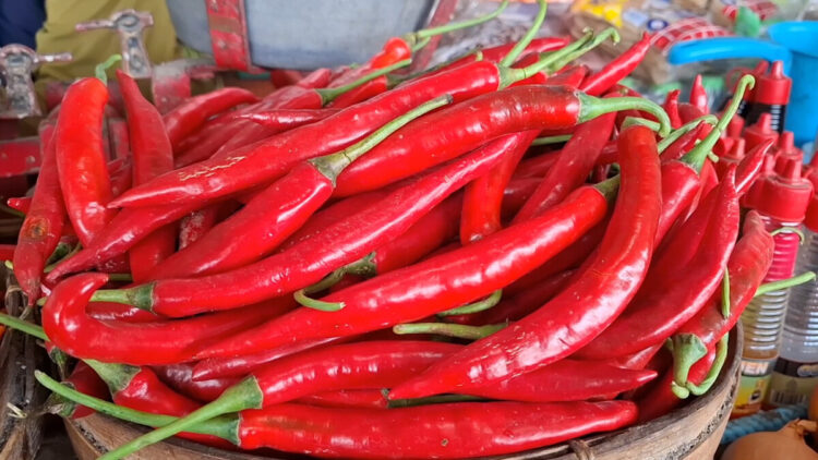 Harga Cabai Masih Relatif Tinggi di Kota Kediri