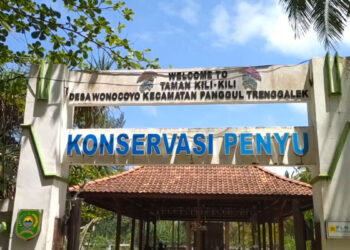 Desa Wonocoyo Trenggalek Masuk 30 Besar WIA 2025
