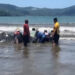 Penyelamatan Hiu Paus Terdampar di Pantai Cengkrong Trenggalek