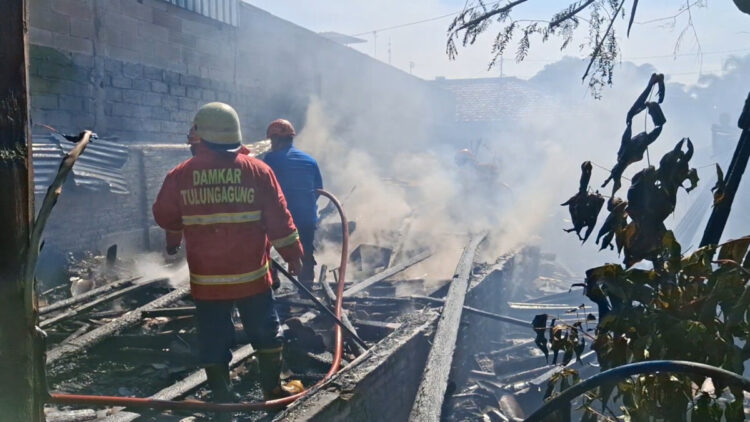 Rumah Warga di Tulungagung Ludes Terbakar, Kerugian Capai Rp.100 Juta