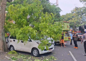 Mobil Tertimpa Pohon Tumbang Saat Parkir di Tepi Jalan