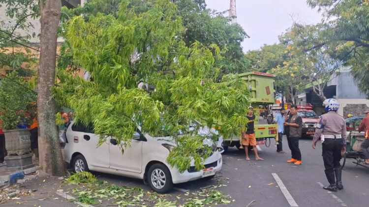 Mobil Tertimpa Pohon Tumbang Saat Parkir di Tepi Jalan