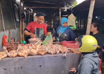 Jelang Nataru, Harga Daging Ayam Masih Tinggi