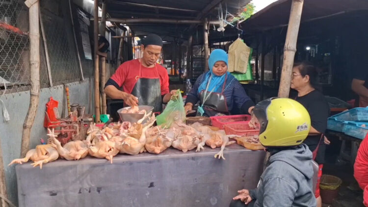 Jelang Nataru, Harga Daging Ayam Masih Tinggi