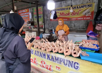 Harga Daging Ayam Masih Mahal, Penjualan Pedagang Turun 30 Persen 