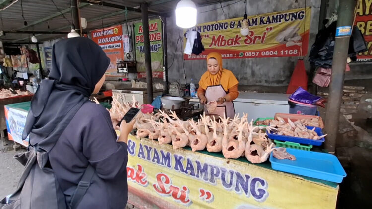 Harga Daging Ayam Masih Mahal, Penjualan Pedagang Turun 30 Persen 