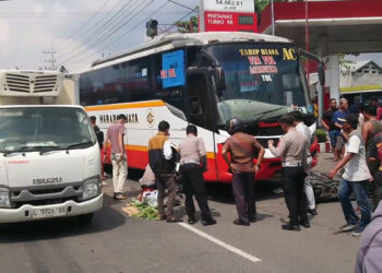 Kecelakaan Maut Bus Harapan Jaya Tabrak Dua Motor, Dua Pengendara Tewas di Tempat