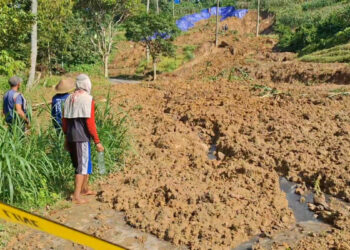 Jalur Utama Tulungagung-Trenggalek Via Pagerwojo Longsor, Penanganan Lamban 