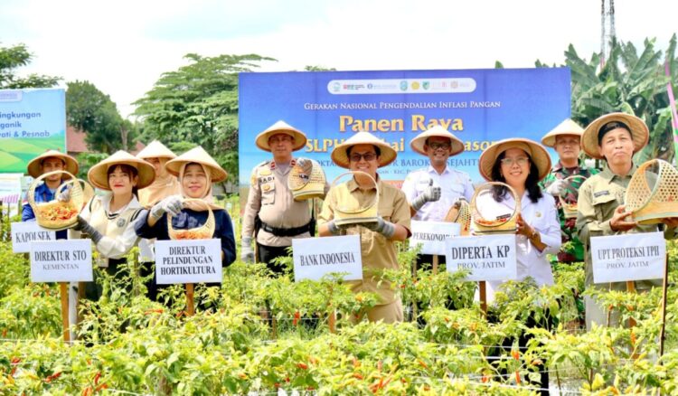 BI Kediri Dorong Pengendalian Inflasi Pangan Dari Sisi Hulu Melalui Program Pelatihan Cabai Off Season Ramah Lingkungan