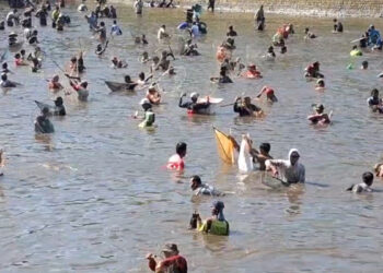 Ratusan Warga Berburu Ikan di Sumber Jembangan Kediri