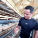 Harga Telur Puyuh Meroket Peternak Blitar  Untung Besar