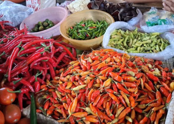 Harga Cabai Rawit Terus Mengalami Kenaikan