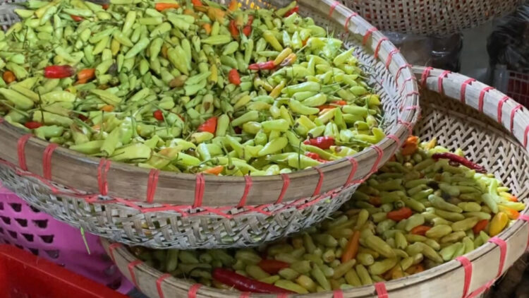Harga Cabai Rawit Makin Pedas Jelang Natal Dan Tahun Baru