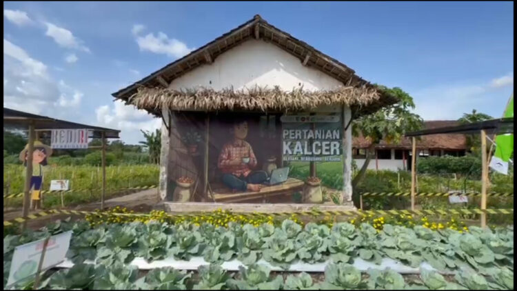 Urban Farming Kalcer Fest, Dorong Lahirnya Petani Muda Produktif