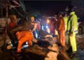 Pohon Tumbang Timpa Mobil Melintas Di Jalan, Penumpang Selamat